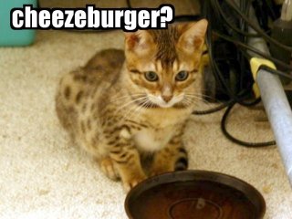 lucycheezeburger.jpg